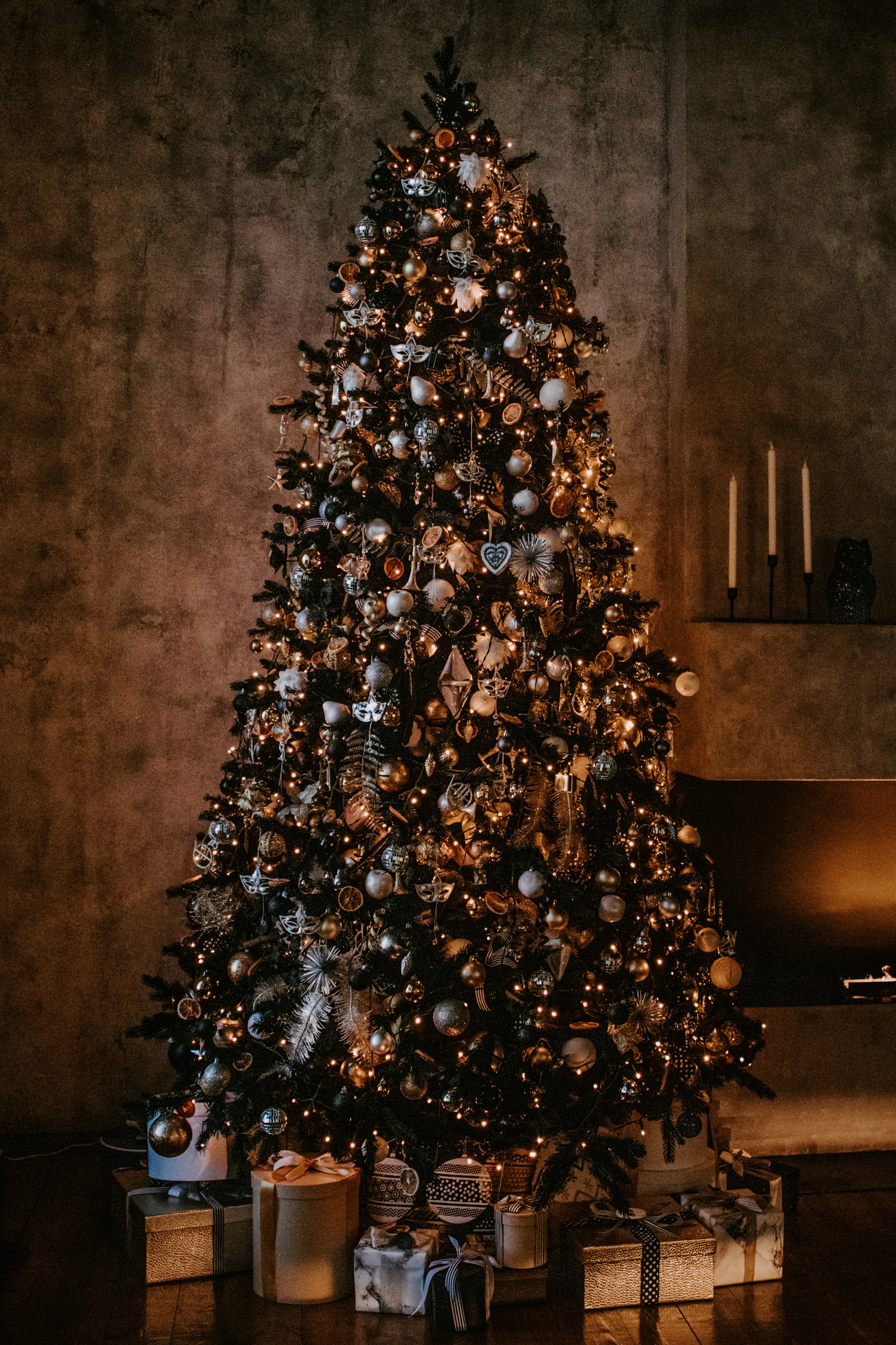Christmas tree near wall photo – Free Christmas Image on Unsplash